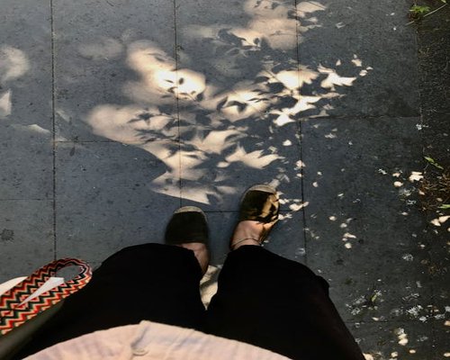 A person in comfortable shoes enjoying a light walk along a tree-lined sidewalk in Guadalajara